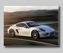 Cayman 981 na autosalonu v Los Angeles Cayman 981 na autosalonu v Los Angeles