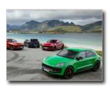 Porsche prodalo pes 300 tisc voz