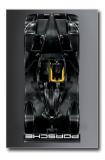 porsche_rs_spyder_ep_05.jpg (800x1205) - 163 KB