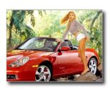 Playmate of the year 2001 Brande Roderick Porsche Boxster